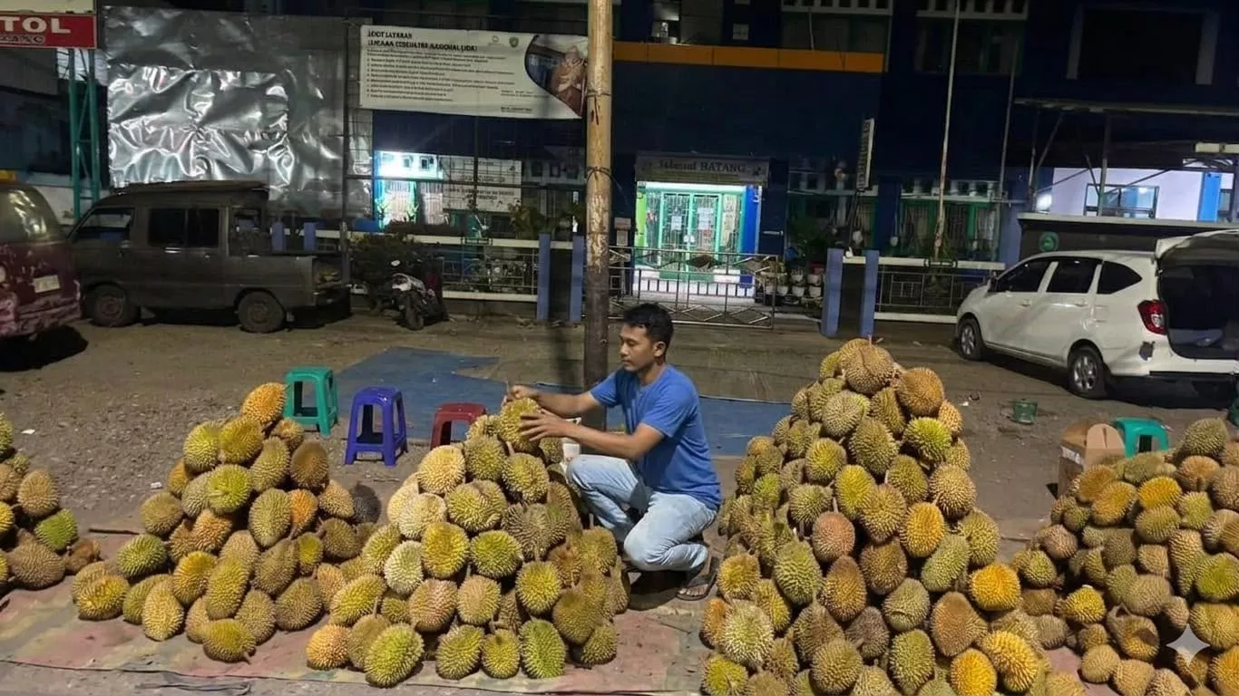 Musim Durian Jadi Berkah, Penjualan Capai Jutaan Rupiah per Malam