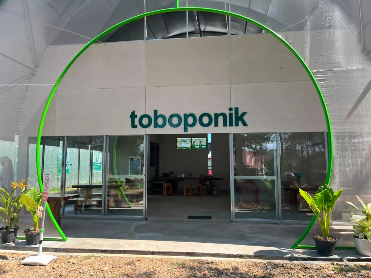 Wisata Toboponik Jenggalu Tawarkan Panen Melon Premium dan Edukasi Pertanian