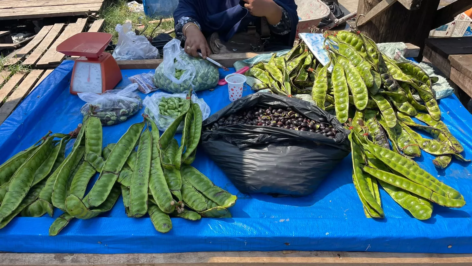 Musim, Harga Petai dan Kabau di Kota Bengkulu Turun