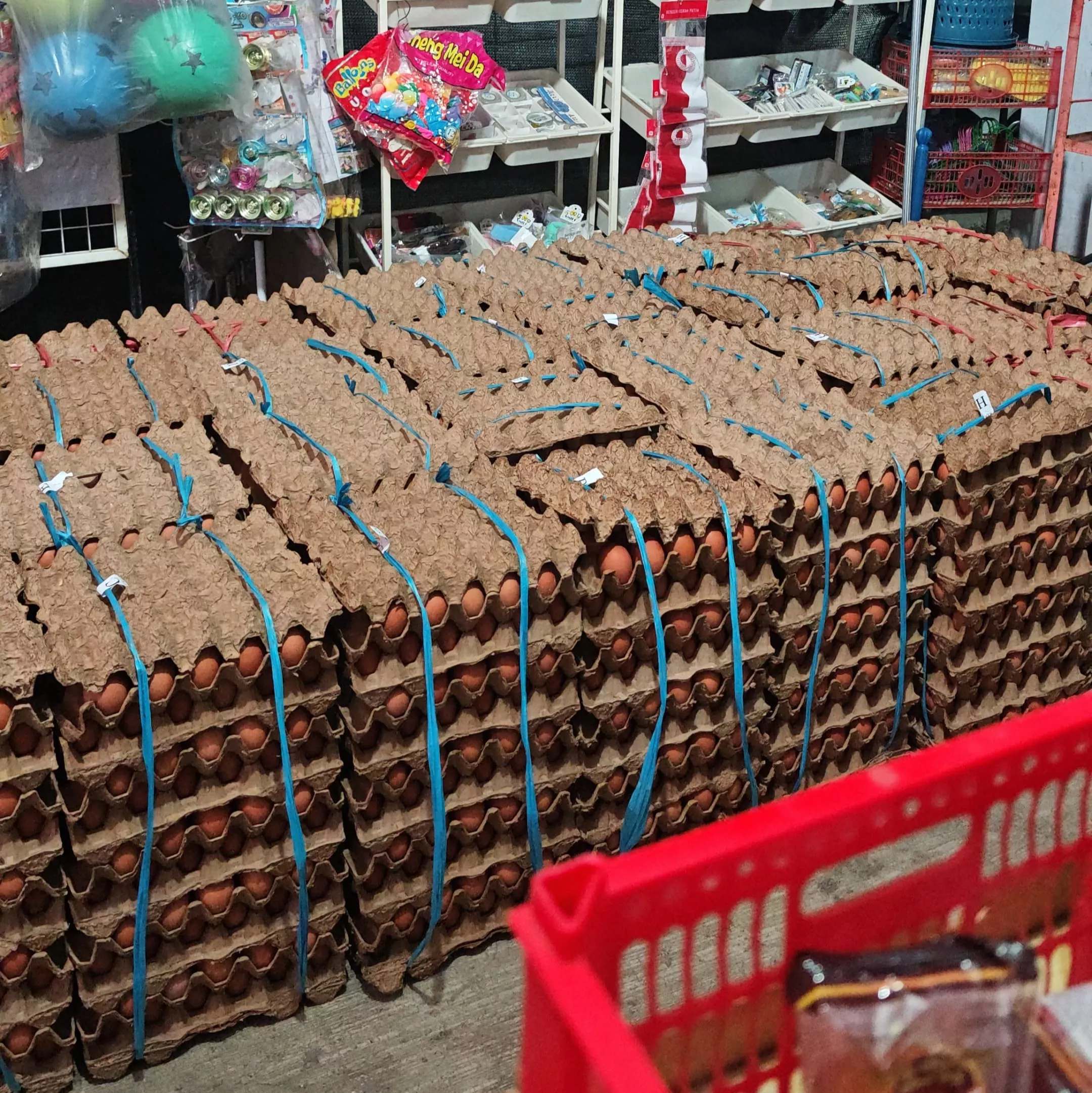 Harga Telur Ayam di Bengkulu Kembali Naik Capai Rp58 Ribu per Karpet