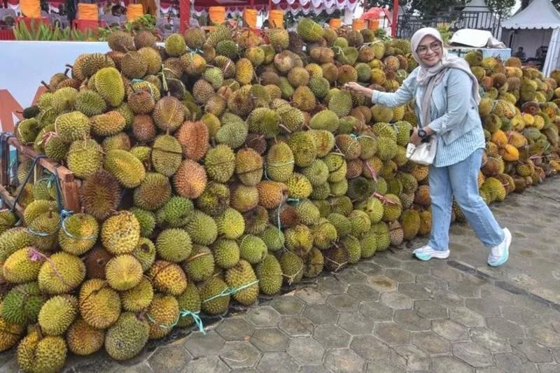 Indonesia Telah Ekspor 4.077 Ton Durian Beku ke China Sepanjang Tahun Ini
