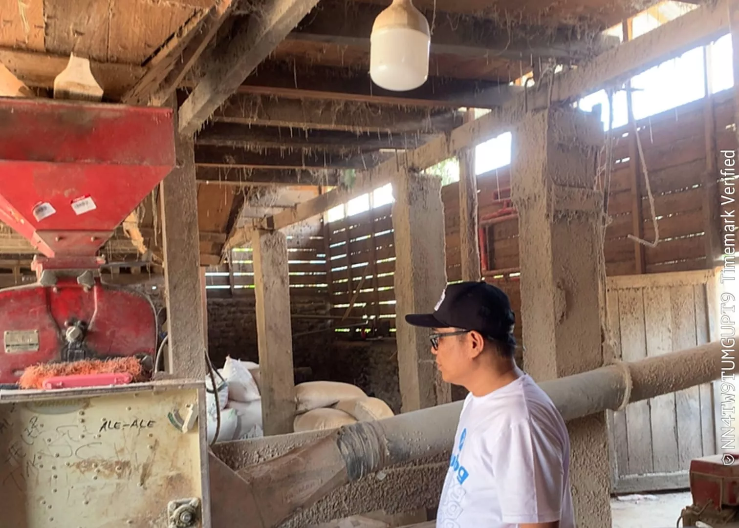   Perum BULOG Bengkulu Serap Gabah Petani Rp6.500/Kg guna Amankan Stok Pangan 2026