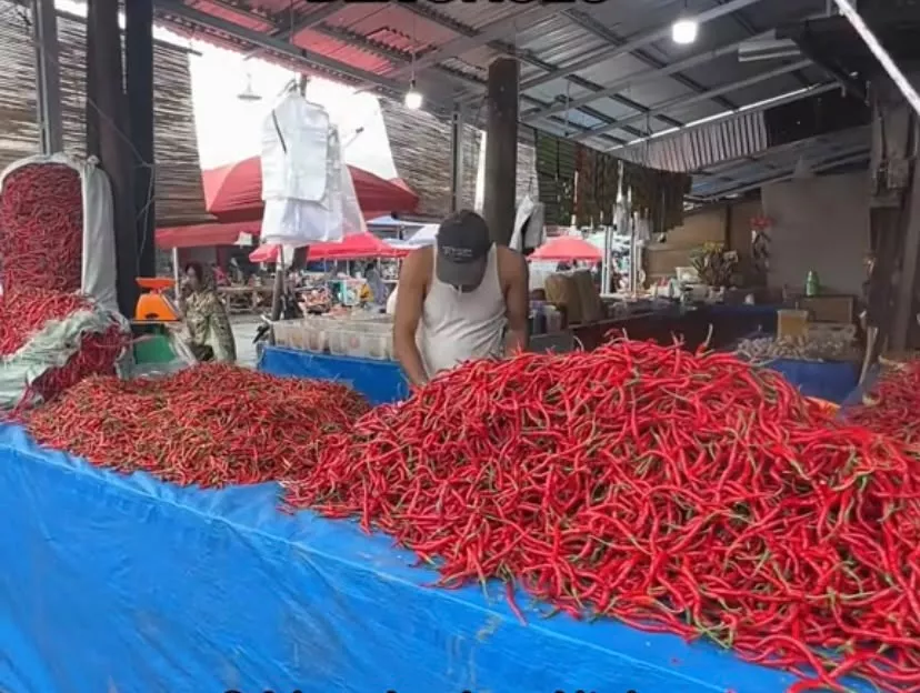 Harga Cabai di Pasar Panorama Bengkulu Masih Stabil, Pedagang Berharap Tidak Ada Lonjakan Harga