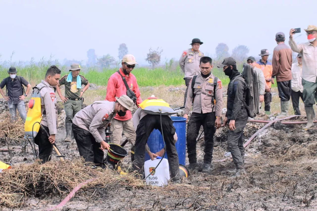 Polda Jambi Cek dan Tangani Karhutla di Sungai Aur, Luas Lahan Terbakar Capai 20 Hektare