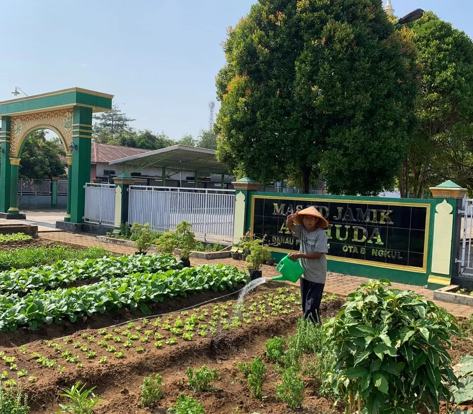 Habsah Sulap Lahan Kosong Masjid Al-Huda Panorama Jadi Kebun Produktif