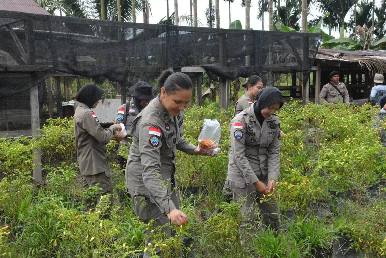 Menengok Kebun Anggur di Pelosok Mimika saat Satgas Damai Cartenz Gelar Layanan Kesehatan