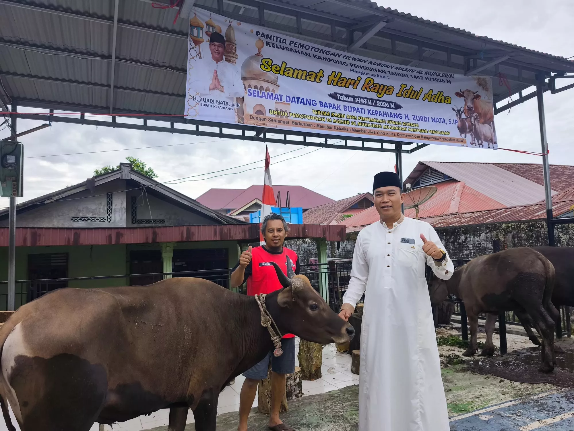Salurkan Sapi Kurban Presiden Prabowo, Bupati Kepahiang Beberkan Proyeksi PAD dari Geothermal