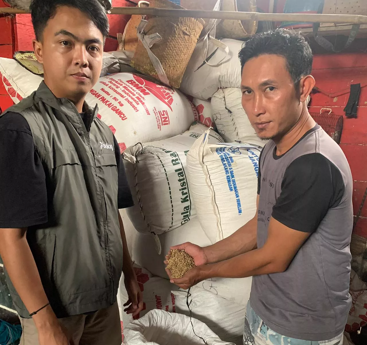 Lindungi Petani, BULOG Bengkulu Gencarkan Sistem Jemput Bola Serap Hasil Panen