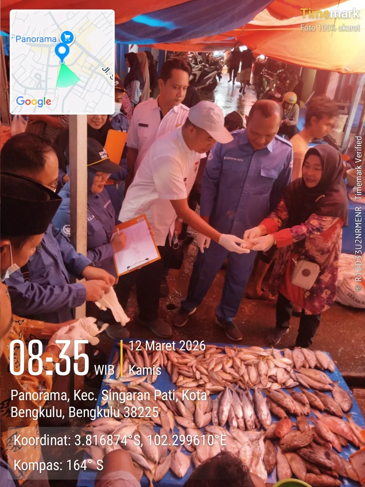 Pastikan Ikan Beban Formalin, DKP Kota Bengkulu Gelar Sidak Kualitas Pangan di Pasar Tradisional hingga Mall