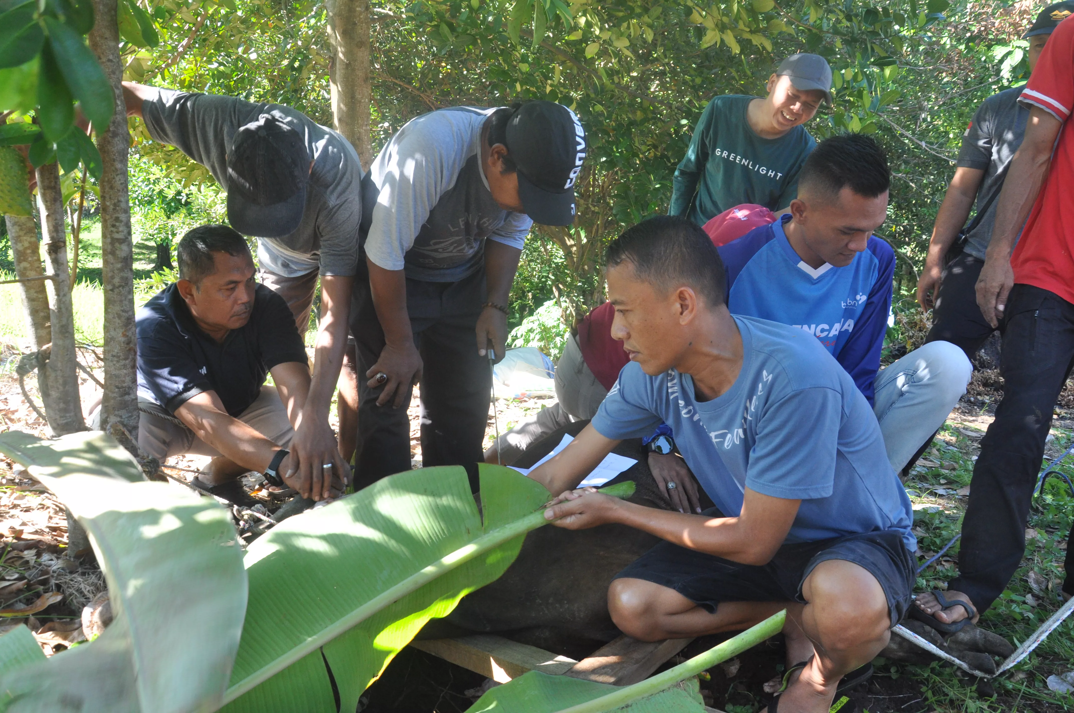 Idul Adha Berbagi, Kemendukbangga Salurkan Daging Qurban Mengurai Stunting
