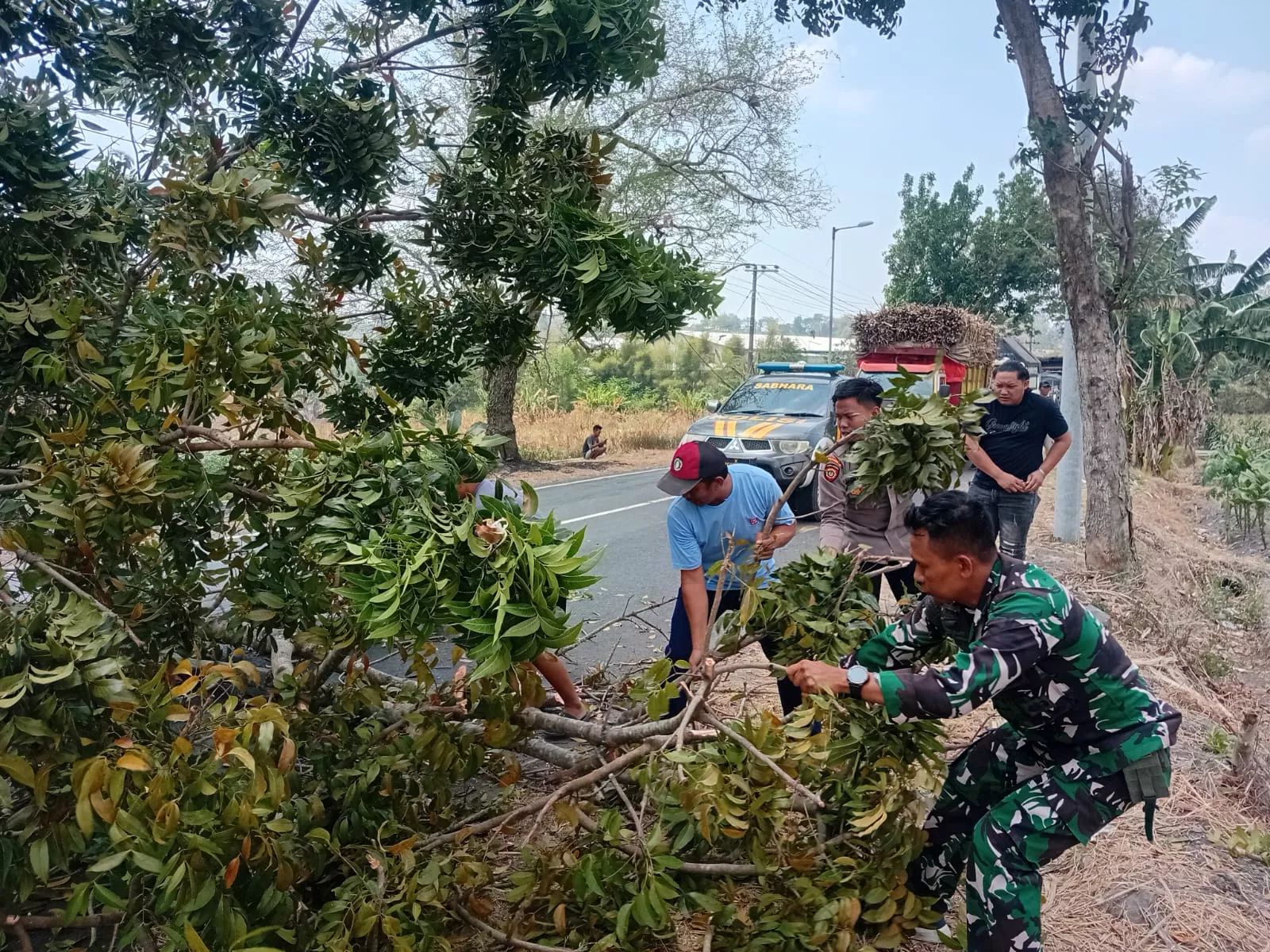 Pohon Tumbang di Jalan Sukodadi Kabuh Dievakuasi Babinsa, Polsek, dan Warga