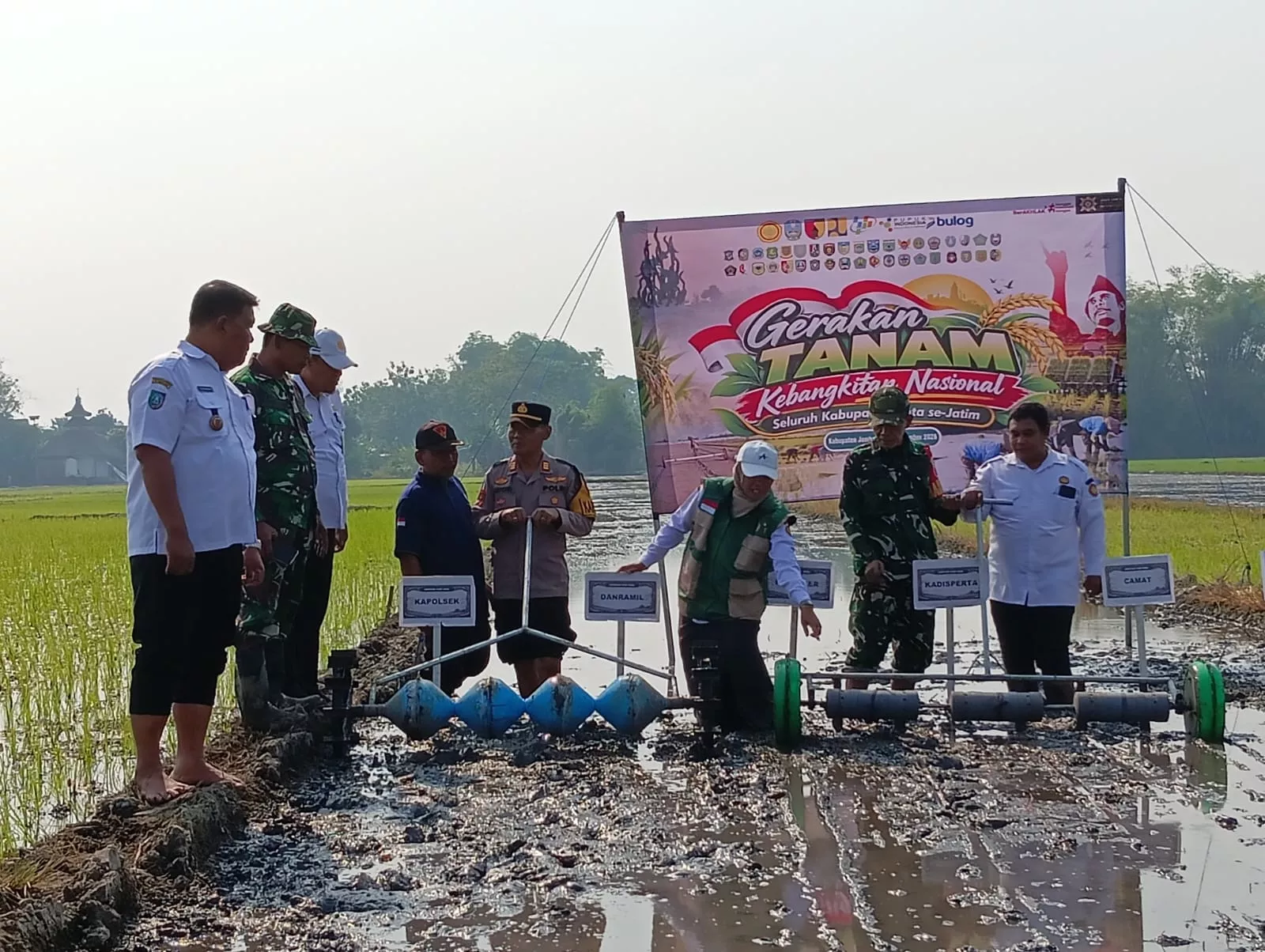 Peltu Sulton Turun ke Sawah Dampingi Petani Tembelang