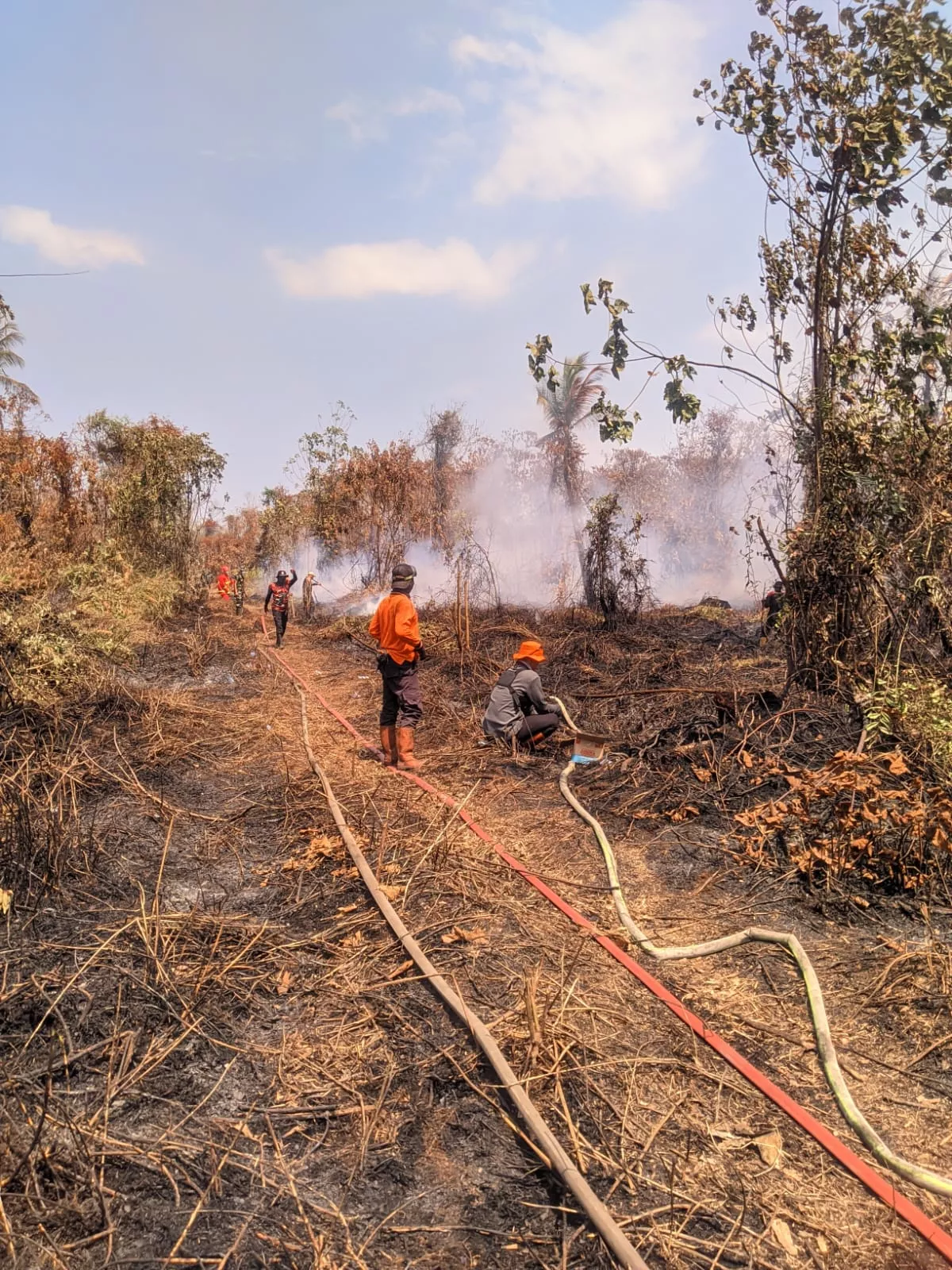 Cegah Karhutla, Warga Desak Bupati Sanksi Tegas Pemilik Lahan Kosong Tak Terurus