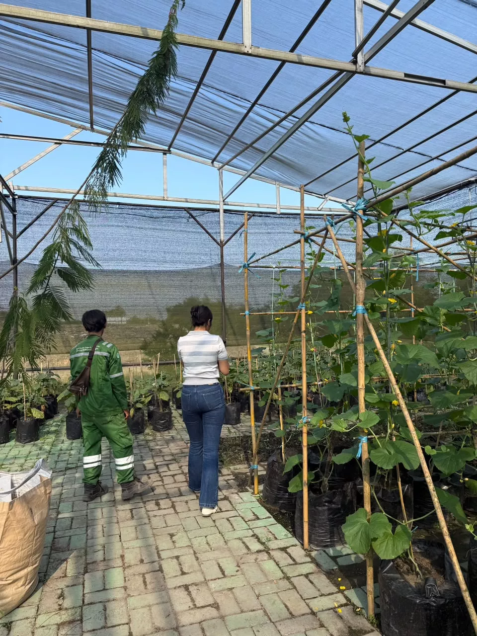 HPN, PLTU Tenayan Manfaatkan FABA untuk Infrastruktur dan Kompos di Riau
