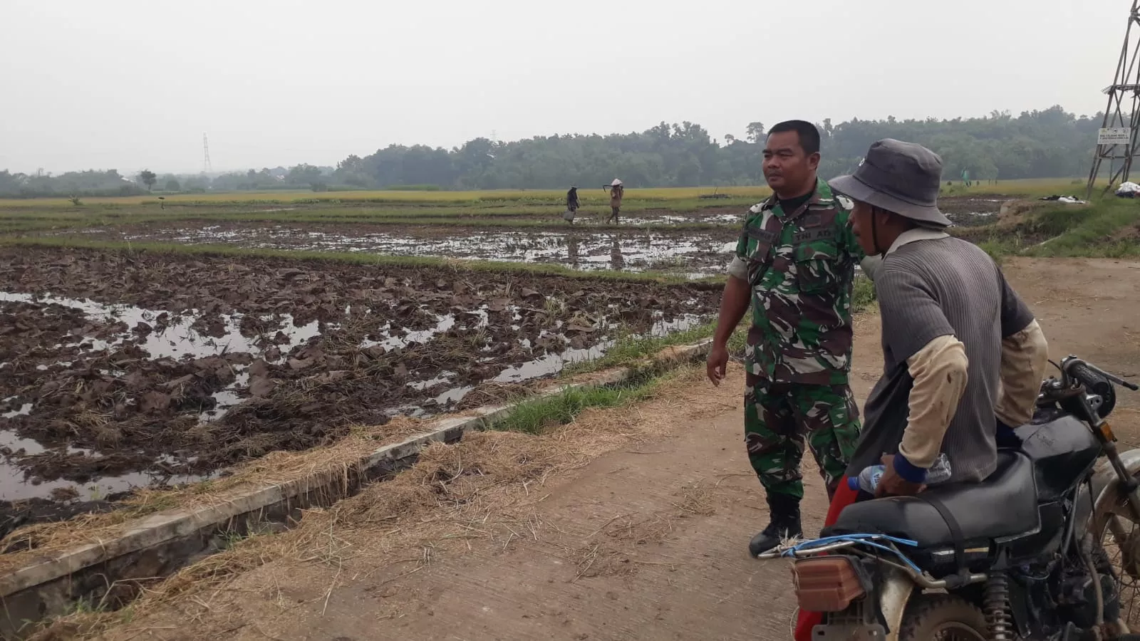 Babinsa Koramil Bareng Dampingi Petani