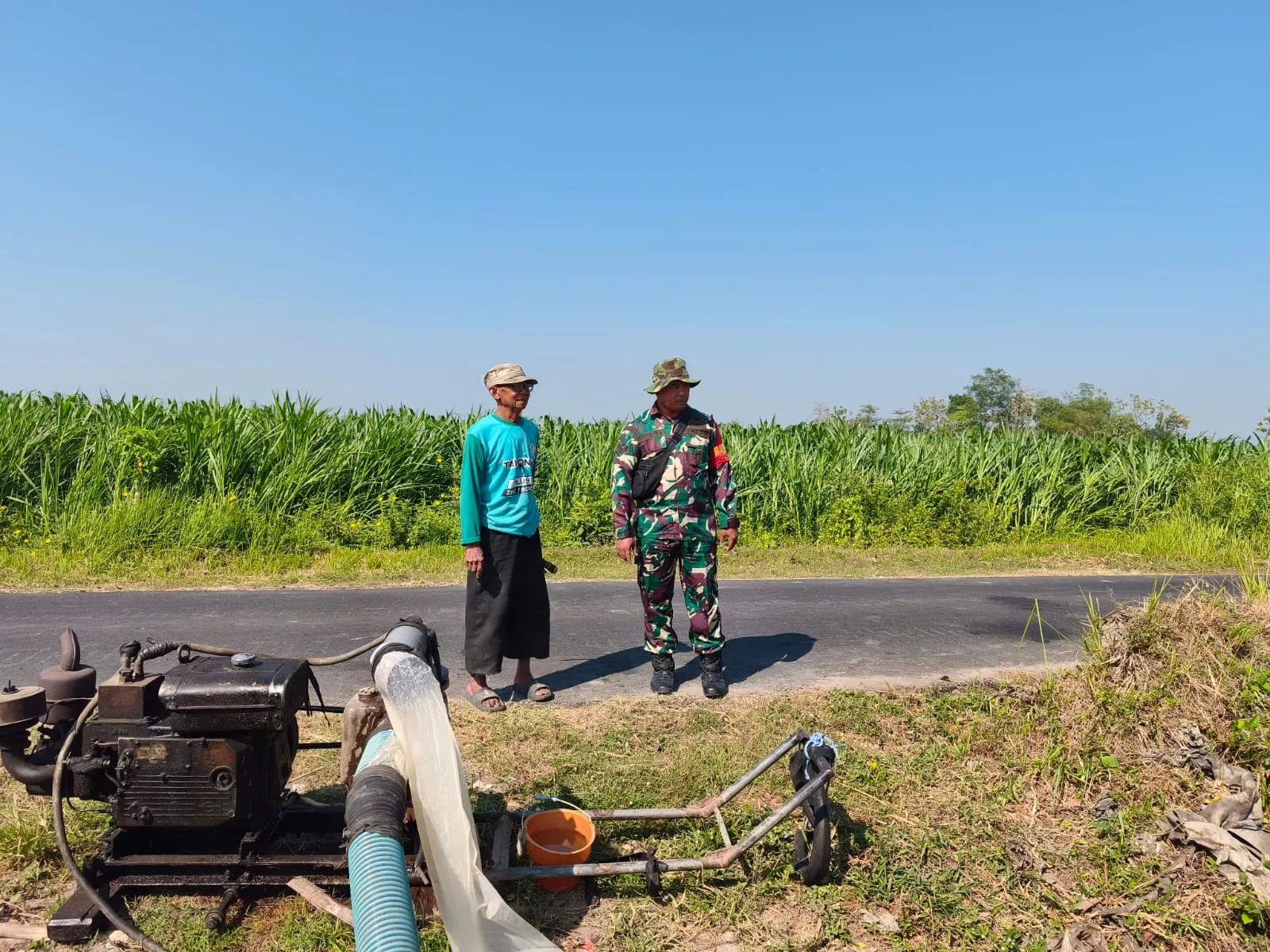 Babinsa Koramil Diwek Dampingi Petani Desa Kwaron Jombang