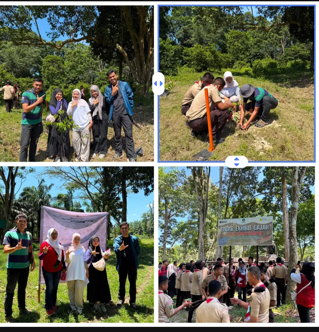 HPN, PLN Nusantara Power Tenayan Ikut Hajatan Rimbawan, Tanam Pohon dan Funwalk Gajah di Buluh Cina
