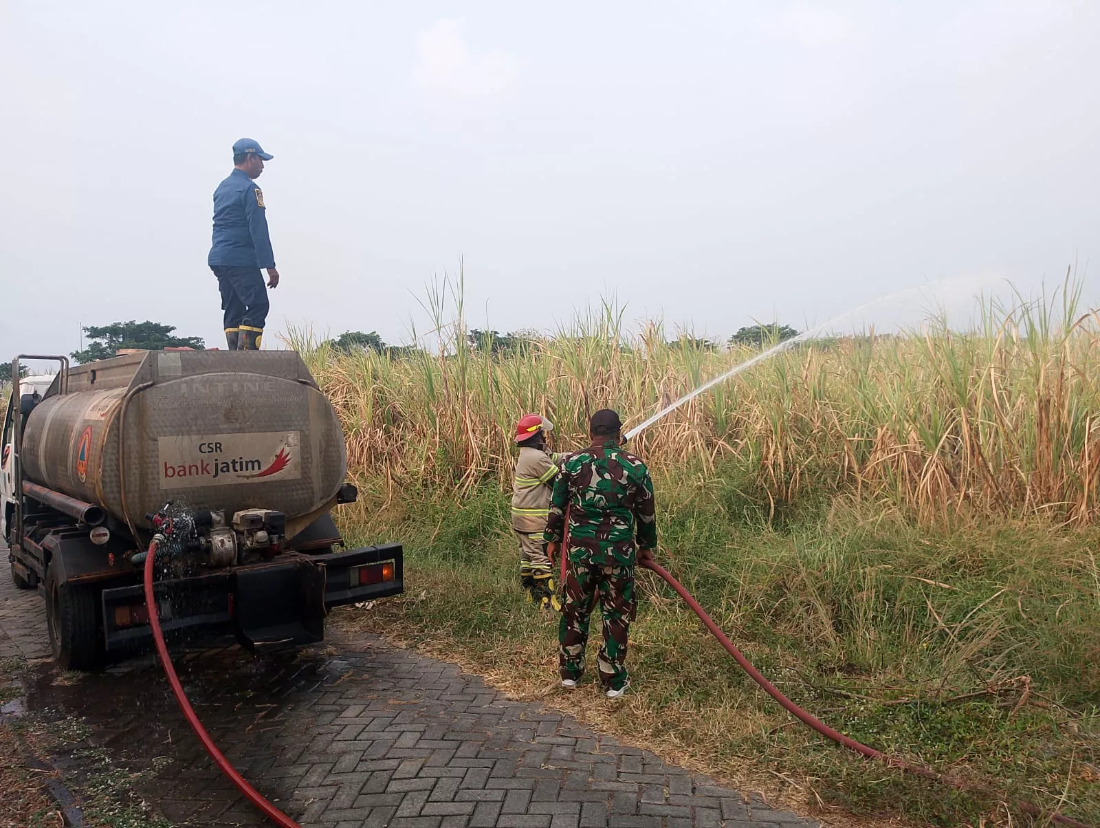 Kopka Iwan Bantu BPBD Padamkan Kebakaran Lahan Tebu di Jombang