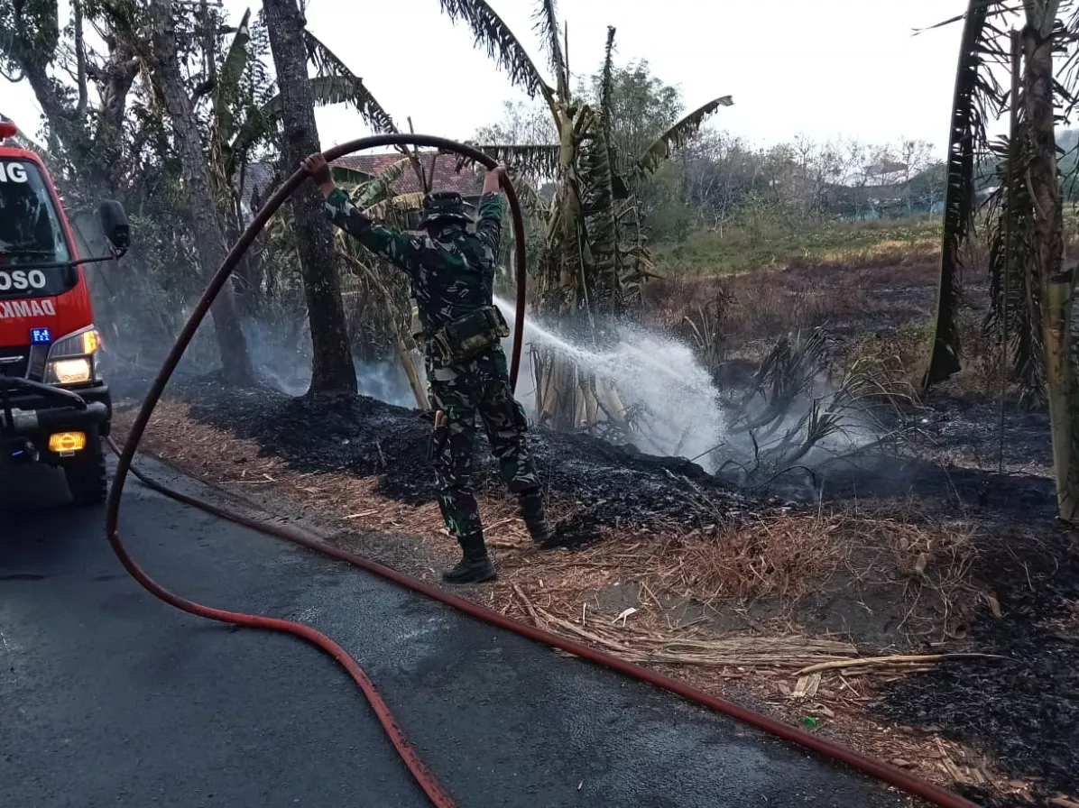 Babinsa, Damkar, dan Warga Padamkan Kebakaran Lahan di Karangpakis