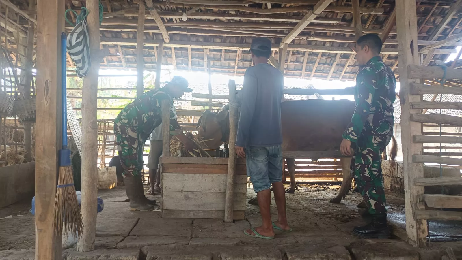 Personel Koramil Sumobito Jalin Komsos dengan Peternak Sapi di TMMD ke-130 Jombang