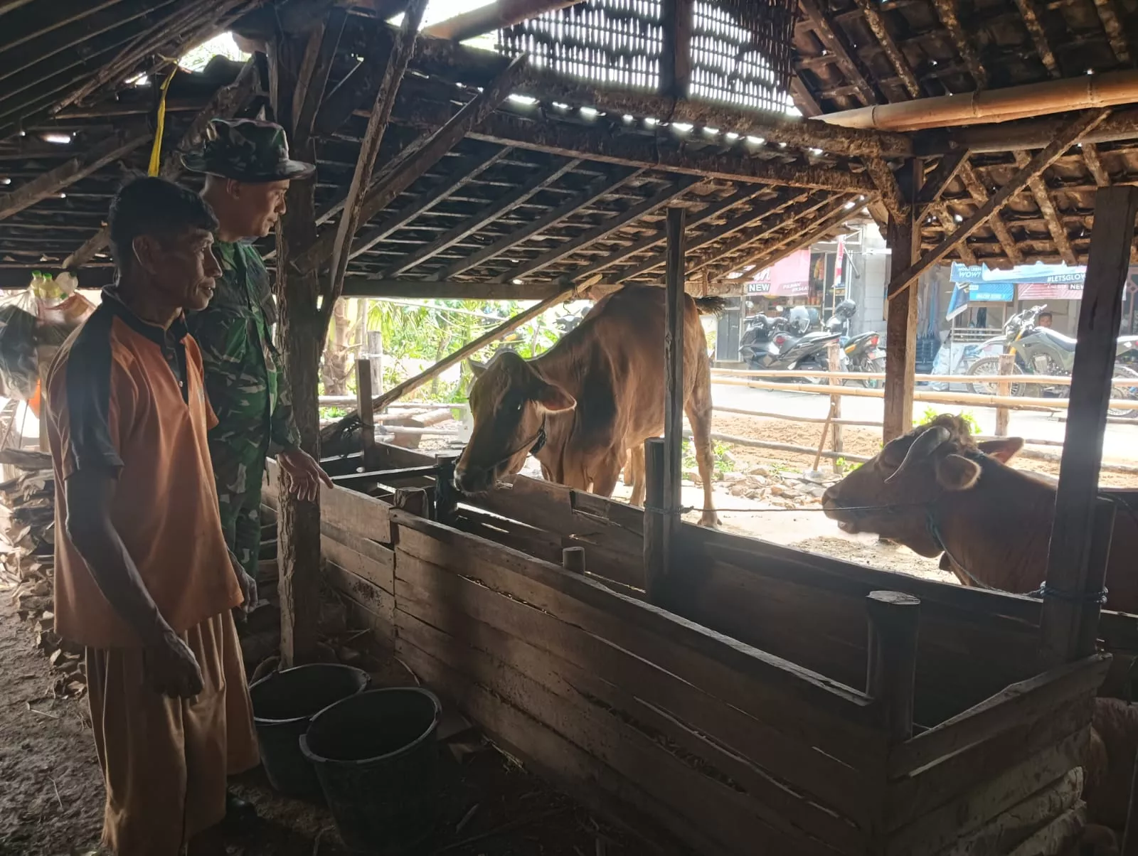 Satgas TMMD ke-130 Jombang Jalin Komunikasi dengan Peternak Sapi