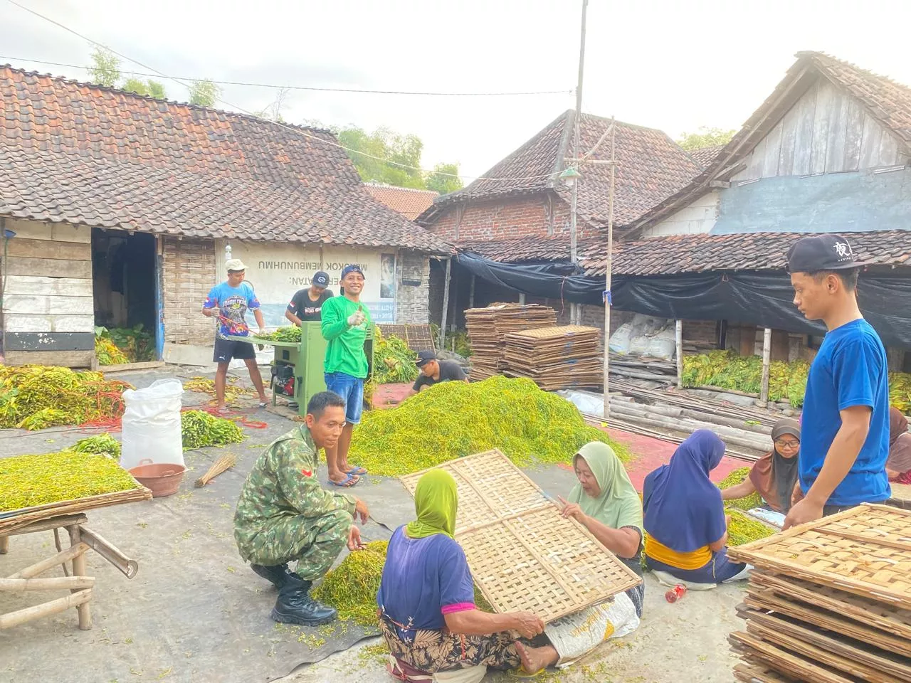 Babinsa Kabuh Komsos dengan Petani Tembakau di Jombang