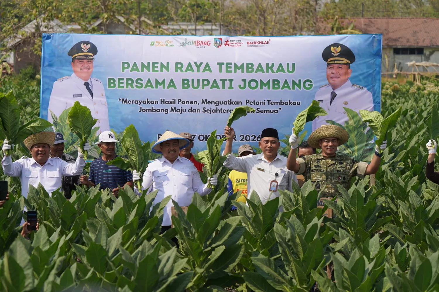 Panen Raya Tembakau di Ploso, Dandim Jombang Beri Dukungan ke Petani