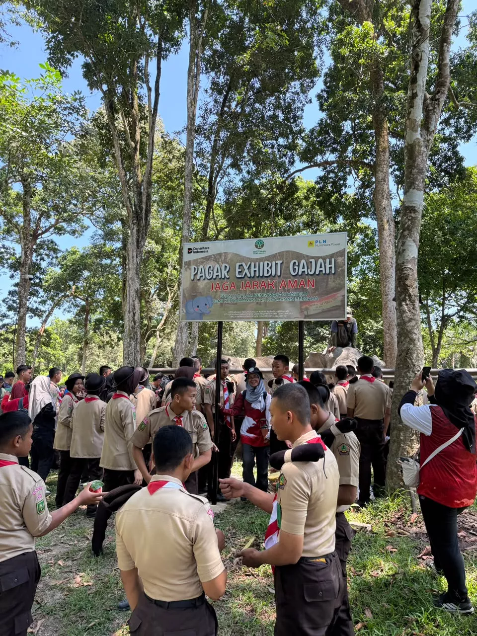 Semangat HPN, PLN Nusantara Power UP Tenayan Ikut Hajatan Rimbawan, Tanam Pohon dan Funwalk Gajah