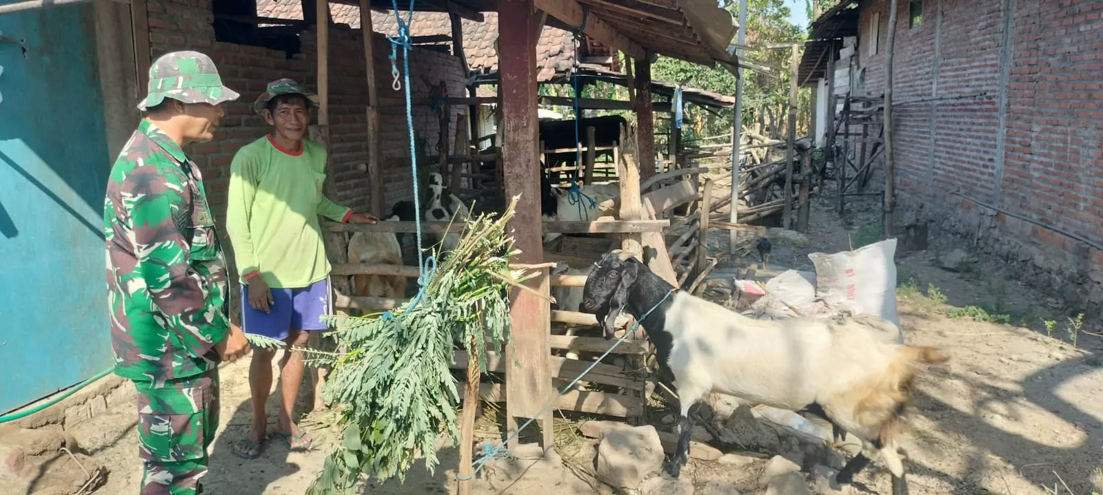 Serka Sulis Laksanakan Komsos Bersama Peternak Kambing di Desa Klitih