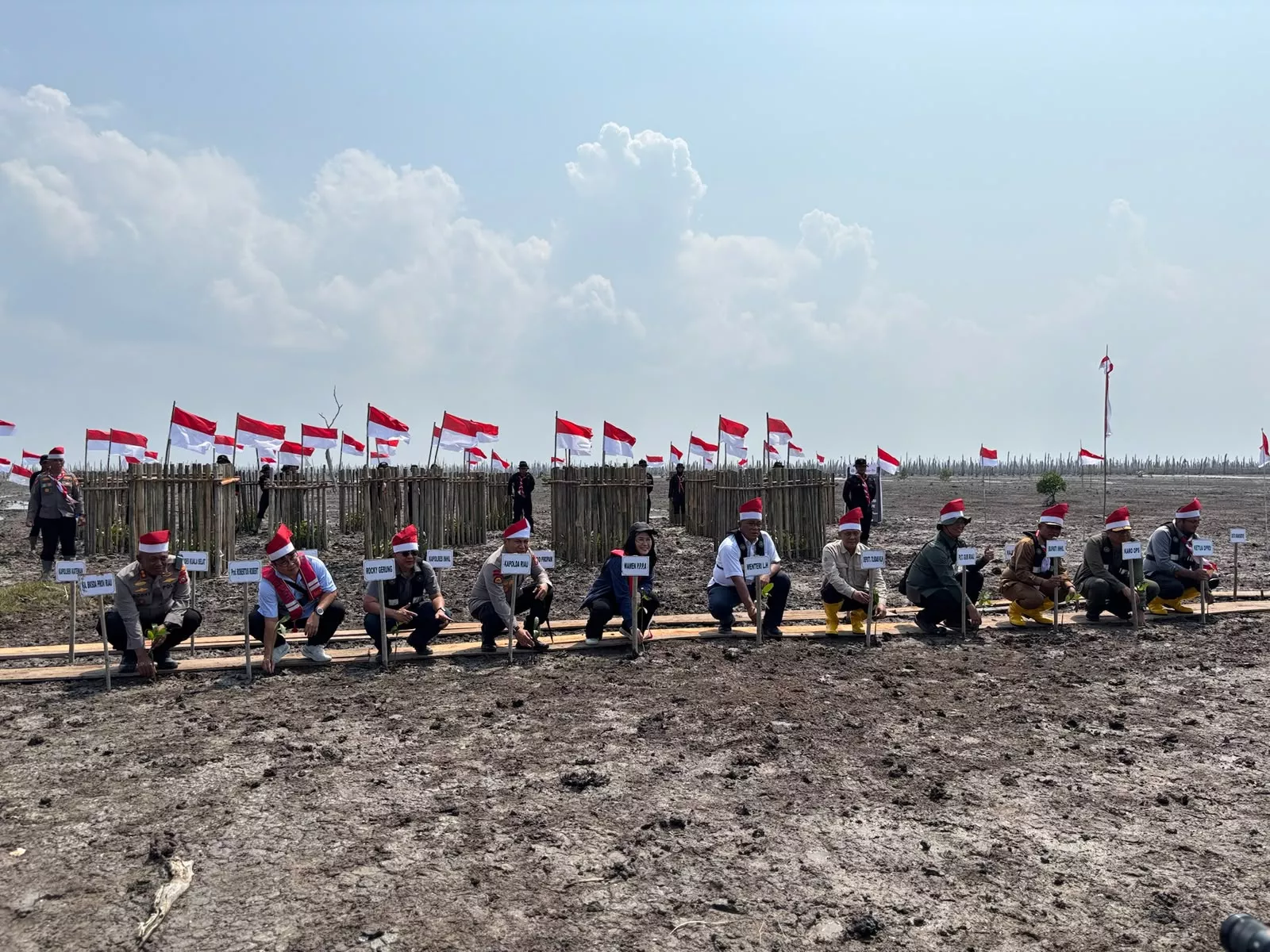 M4CR Riau-Polda Tanam Mangrove di Kuala Selat Pulihkan Abrasi Warga