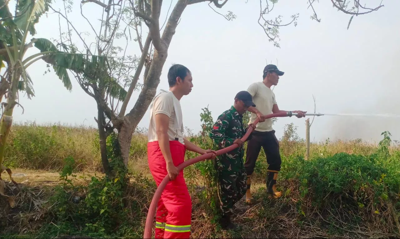 Kopka Eko Bantu Damkar Padamkan Kebakaran Lahan di Jombok