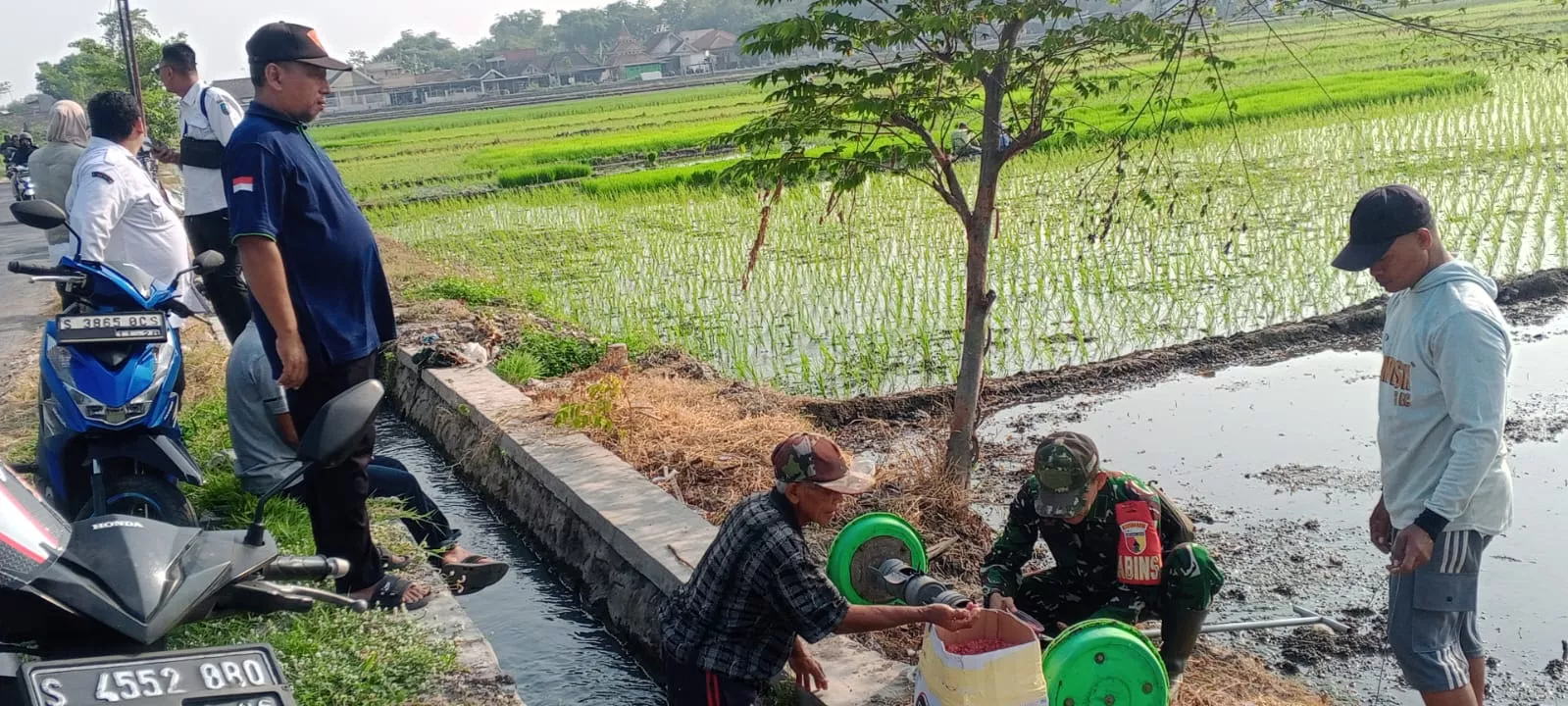 Babinsa Tembelang Bantu Petani Kalikejambon Tanam Padi
