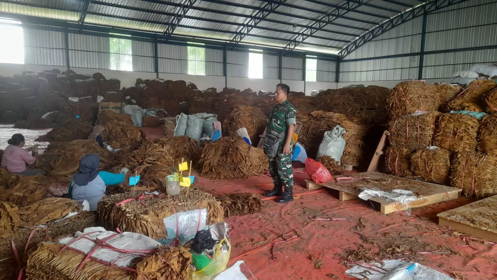Babinsa Komsos di Gudang Tembakau Ploso Jaga Kondusivitas