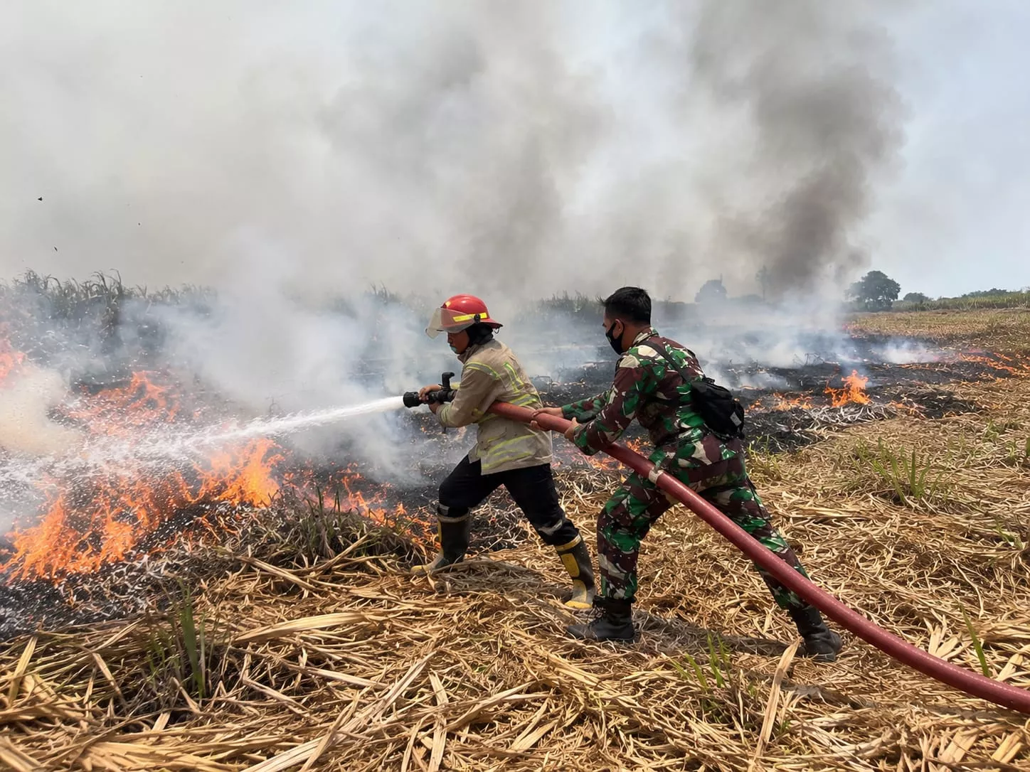 Babinsa Mojoagung dan Damkar Padamkan Kebakaran Lahan Tebu