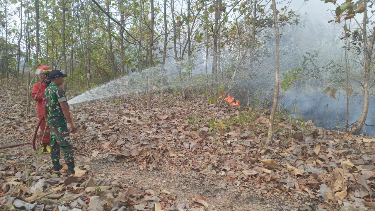 Babinsa Koramil Jombang Bersama Damkar dan Warga Padamkan Kebakaran Lahan Kosong di Denanyar