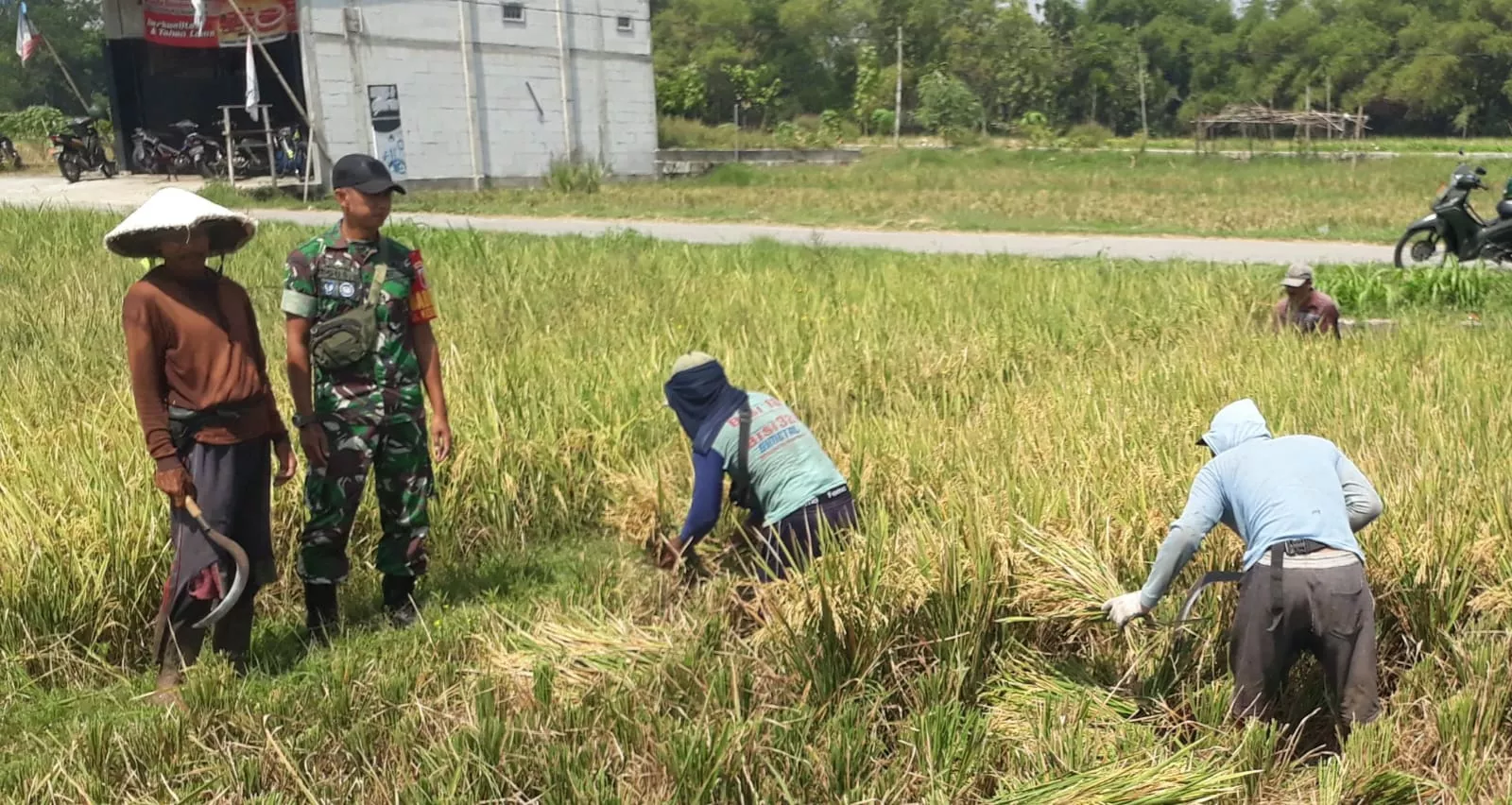 Babinsa Bareng Gelar Komsos dengan Petani di Kebondalem Jombang