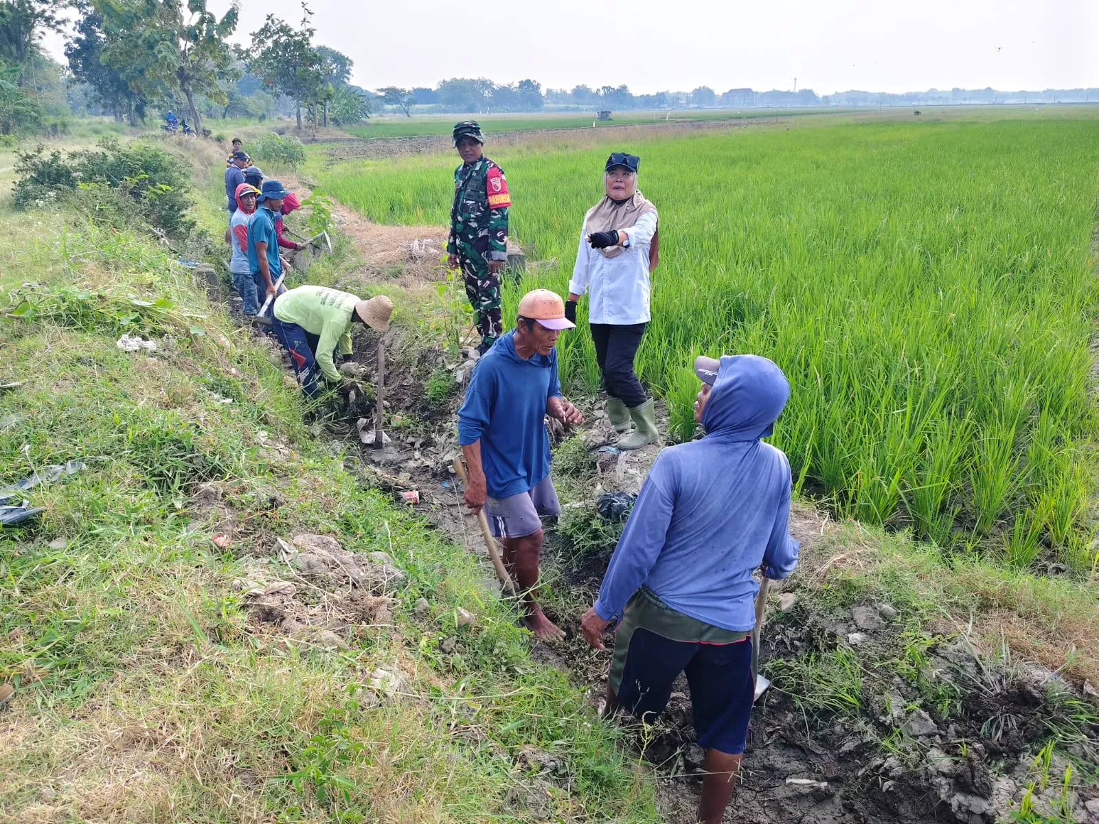 Babinsa, PPL, dan Poktan Tanam di Desa Kepuhdoko