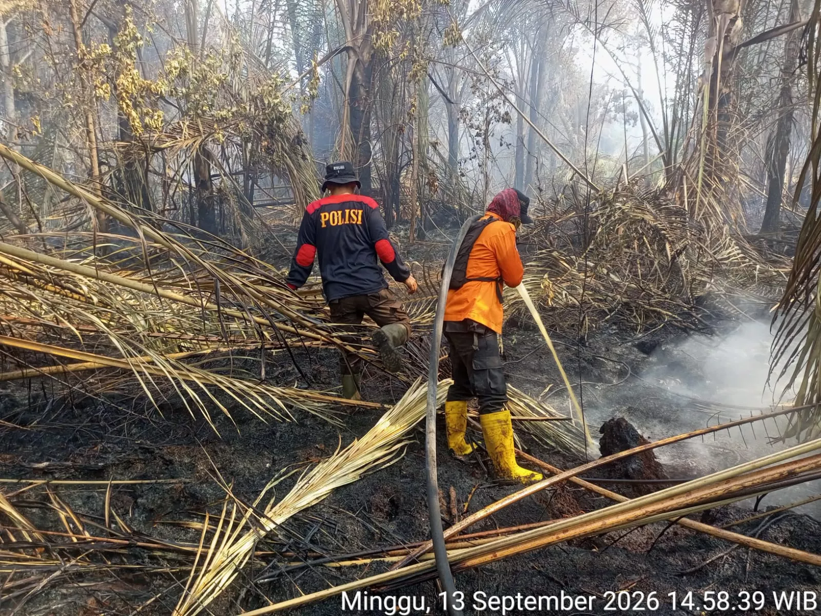 Lima Hari Berjibaku, Karhutla di Teluk Lancar Belum Benar-benar Padam