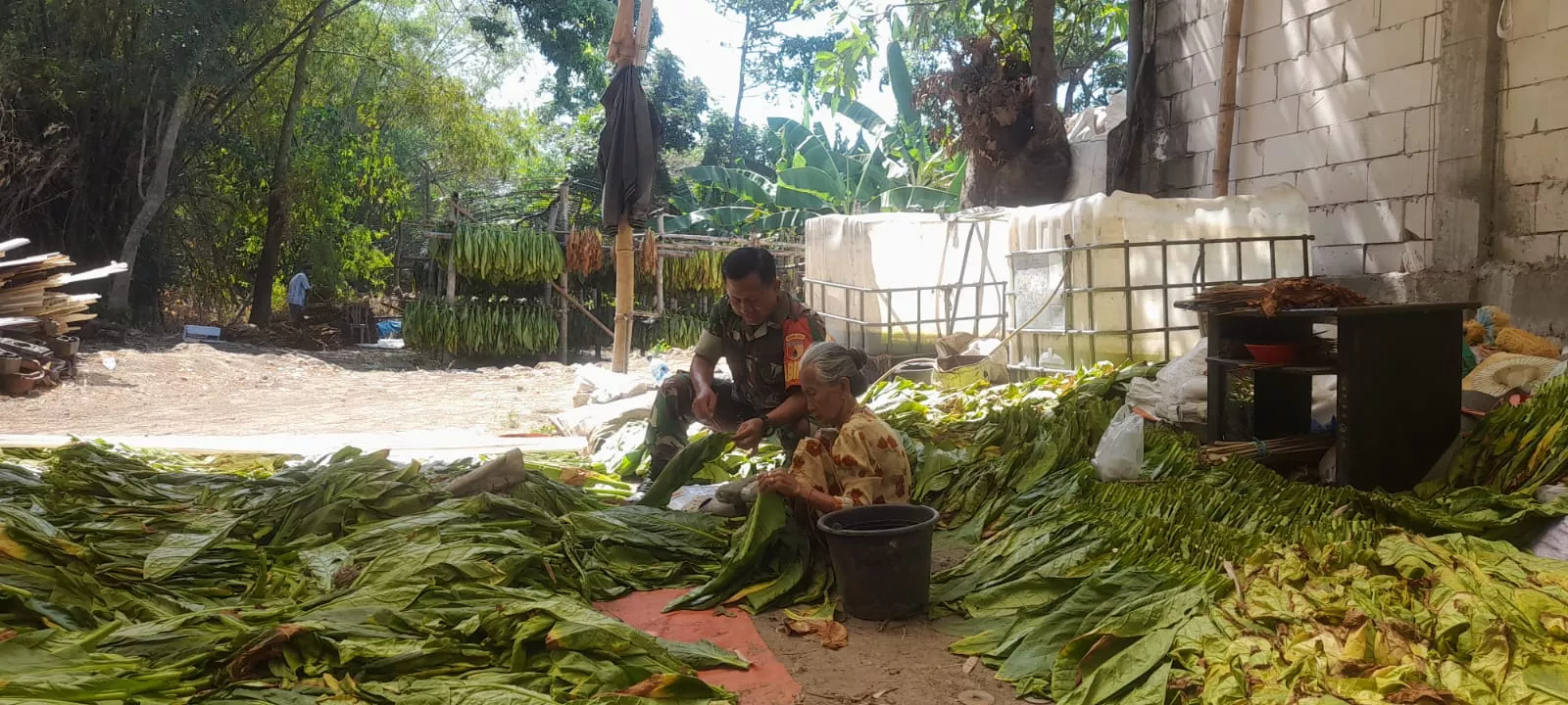 Babinsa Ploso Komsos dengan Petani Desa Pagertanjung