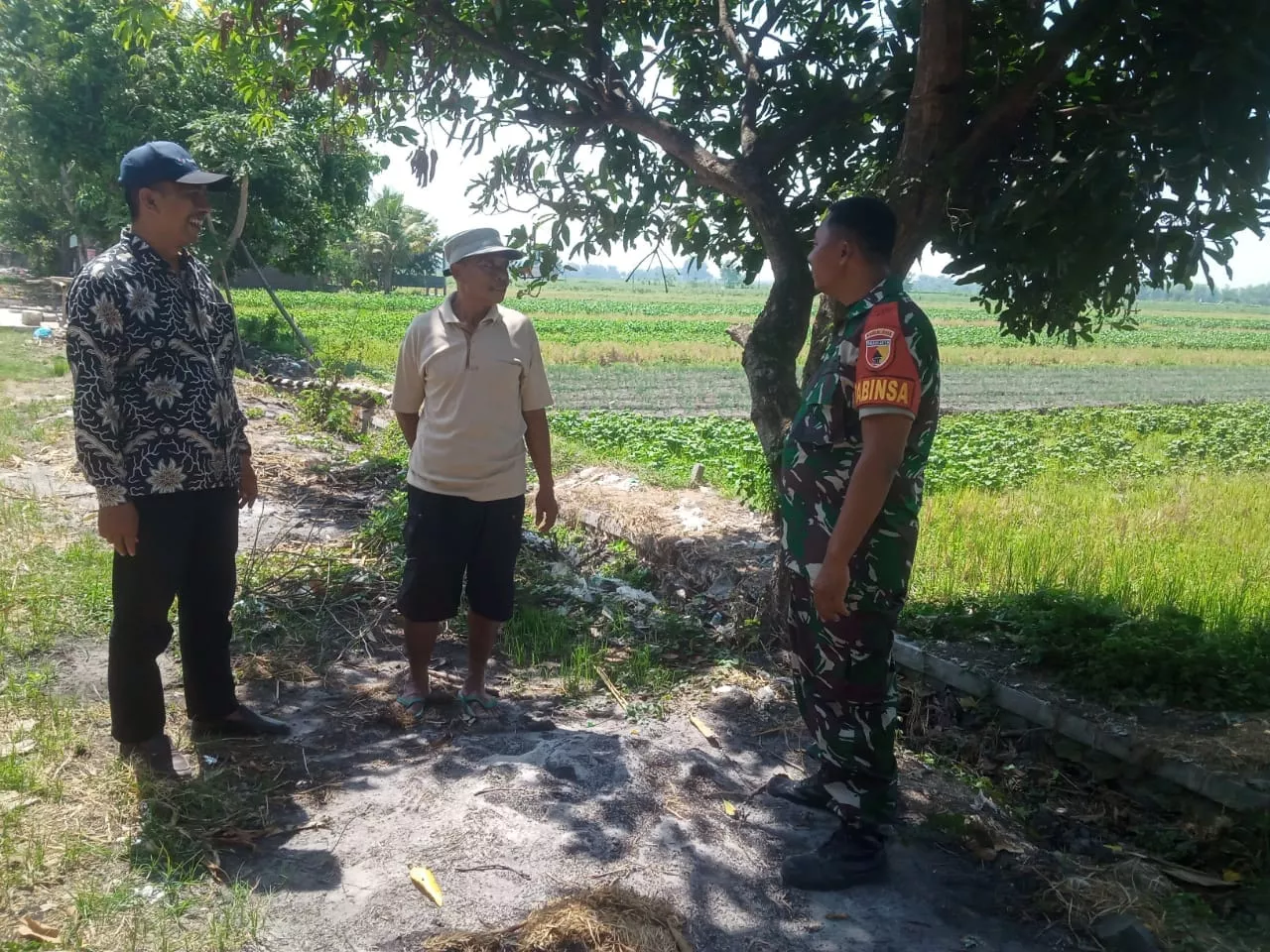 Babinsa dan PPL Kudu Dampingi Petani Desa Tapen