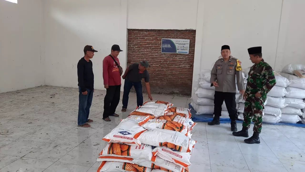 Sertu Moh Rudi Lakukan Pendampingan Penyaluran Bibit Jagung Hibrida Petani Desa Kedunglosari