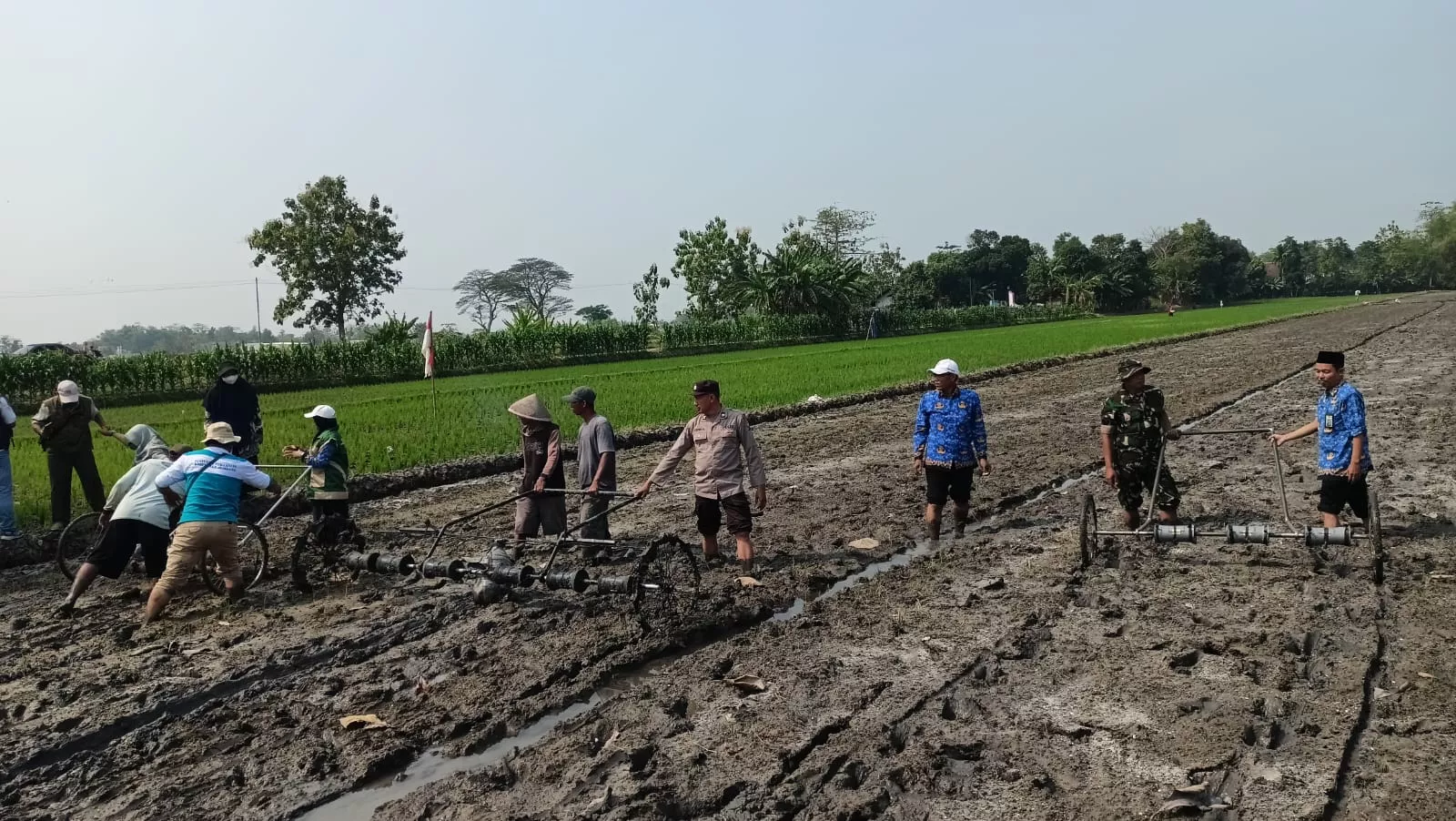 Koramil Perak Dampingi Petani di Desa Ngrandu Lor