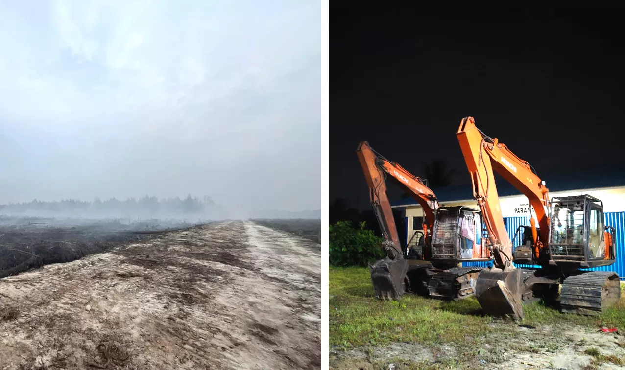 Diduga Garap Cagar Biosfer Giam Siak Kecil, Seorang Pria Jadi Tersangka, Alat Berat Jadi Bukti