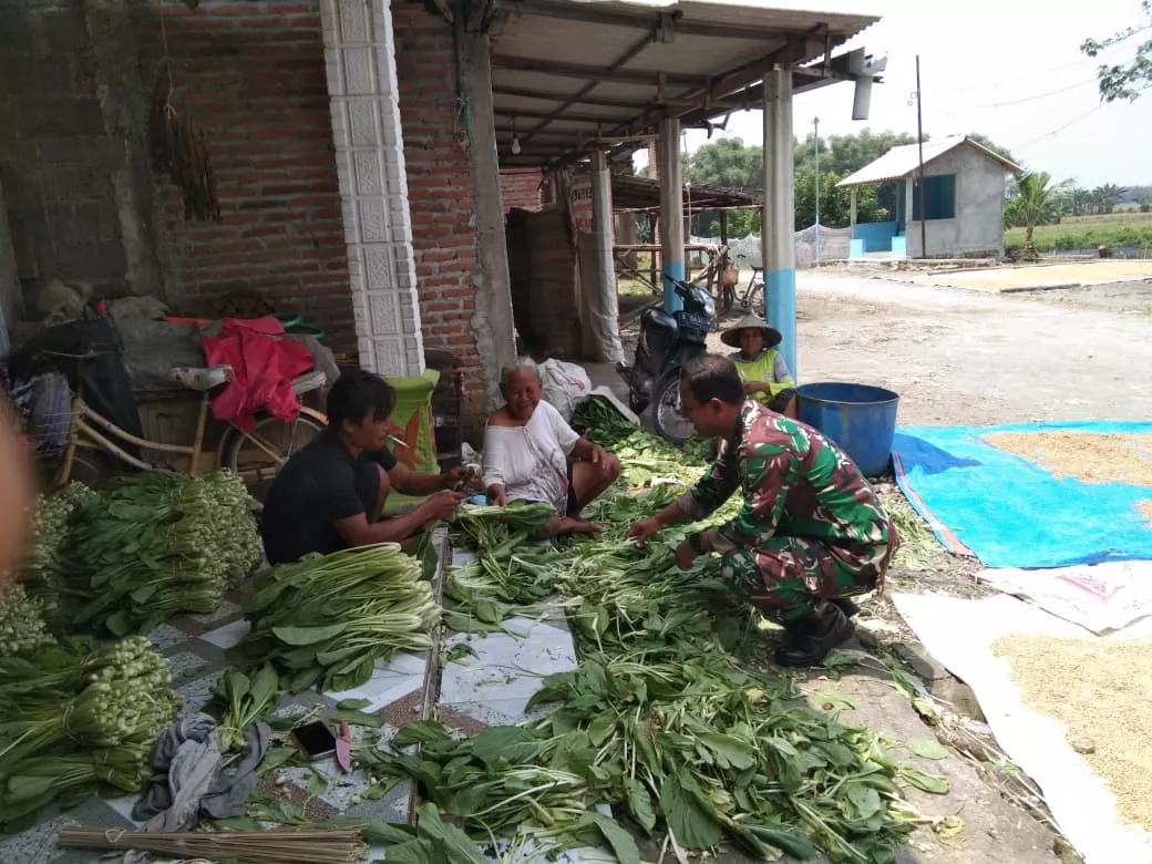 Babinsa Koramil Kabuh Serap Aspirasi Petani Tembakau di Jombang