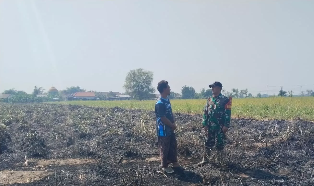 Babinsa Kesamben Imbau Warga Waspadai Bahaya Karhutla