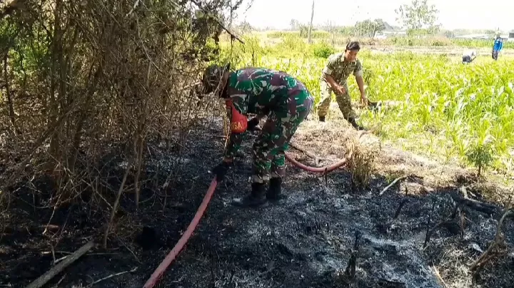 Babinsa Koramil Kesamben Bantu Padamkan Kebakaran Lahan di Jombatan
