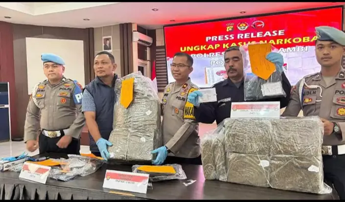 30,8 Kg Ganja Hendak Diedarkan di Jambi Digagalkan, Seorang Kurir Ditangkap