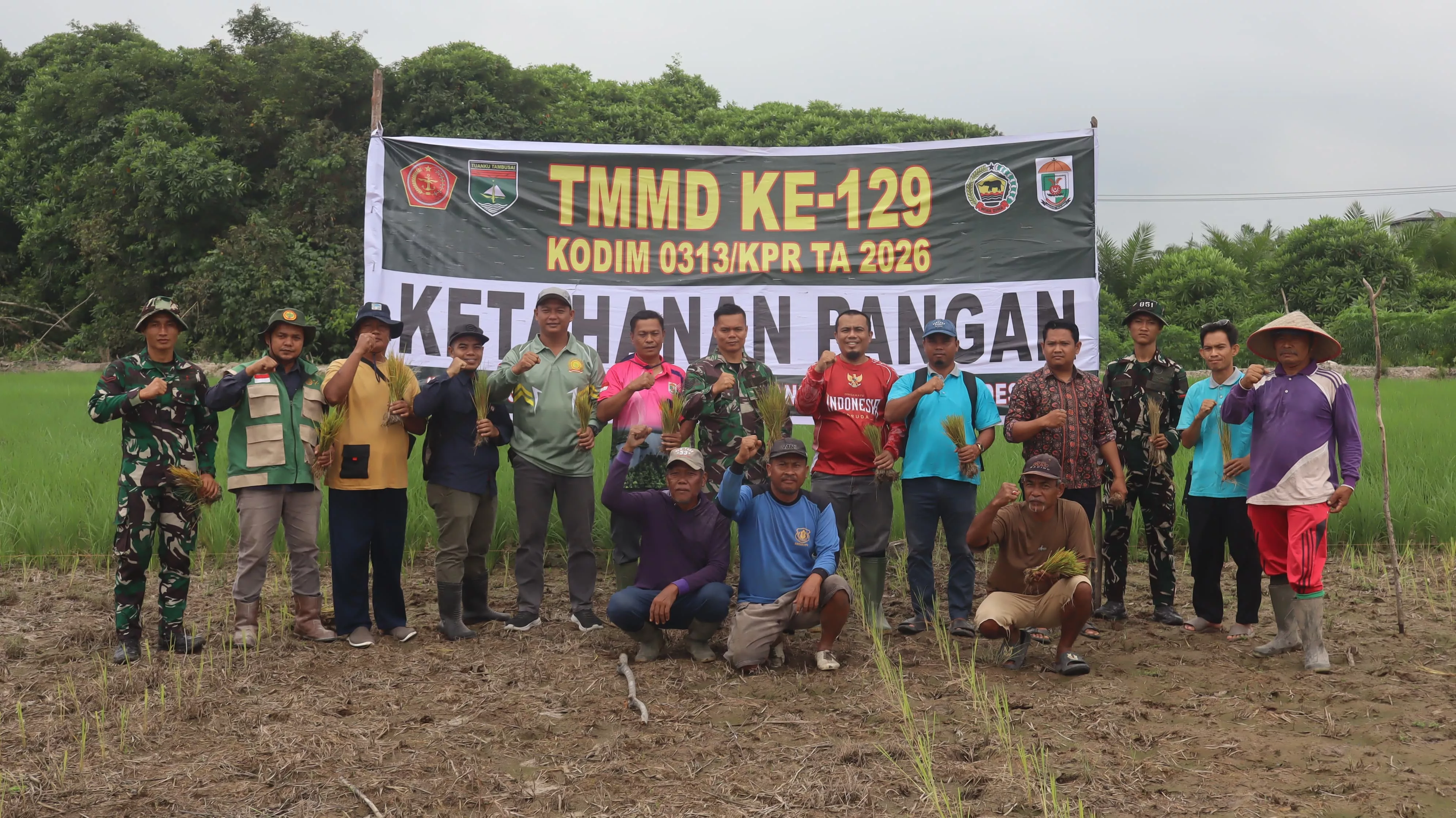 Perkuat Swasembada Pangan Pelosok Desa, Satgas TMMD Ke-129 Kodim 0313/KPR Turun Sawah Tanam Padi di Kuala Panduk