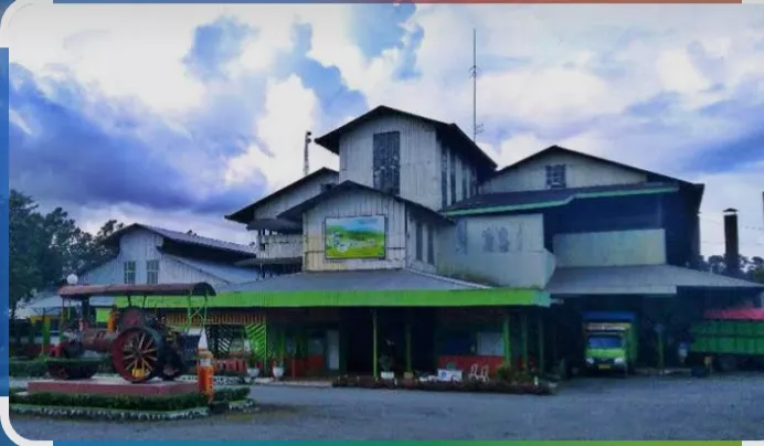 HGU PTPN IV Kayu Aro Berakhir 2027, Kontribusi terhadap PAD Kerinci Jadi Sorotan