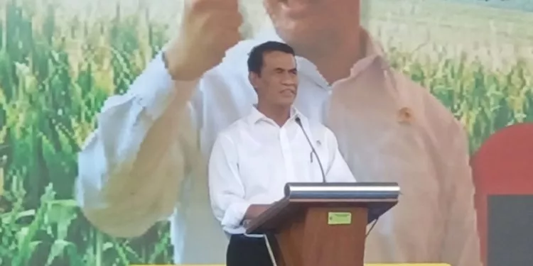 Strategi Mentan Amran: Petani Dibayar Negara untuk Memulihkan Sawahnya Sendiri